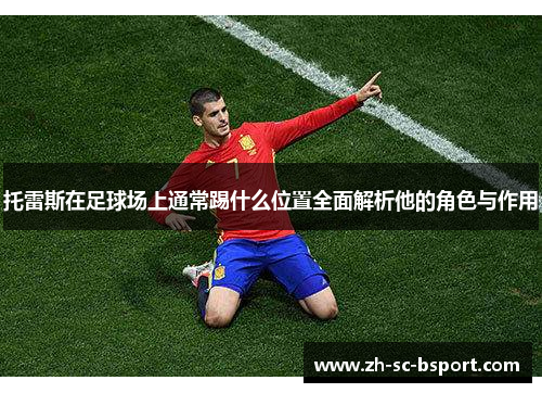 托雷斯在足球场上通常踢什么位置全面解析他的角色与作用