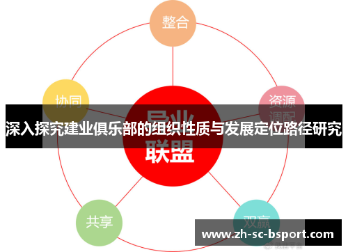 深入探究建业俱乐部的组织性质与发展定位路径研究