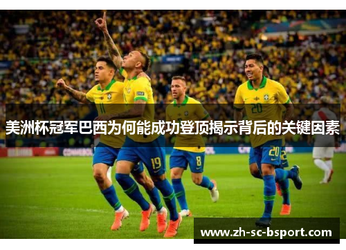 美洲杯冠军巴西为何能成功登顶揭示背后的关键因素 美洲杯冠军巴西为何能成功登顶揭示背后的关键因素