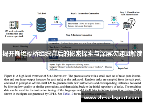 揭开斯坦福桥组织背后的秘密探索与深层次谜团解读