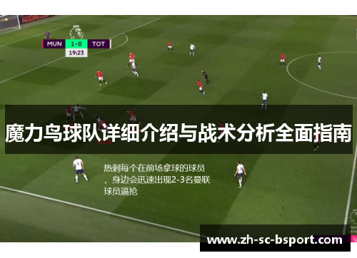 魔力鸟球队详细介绍与战术分析全面指南