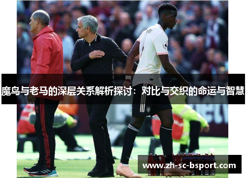 魔鸟与老马的深层关系解析探讨:对比与交织的命运与智慧 魔鸟与老马的深层关系解析探讨:对比与交织的命运与智慧