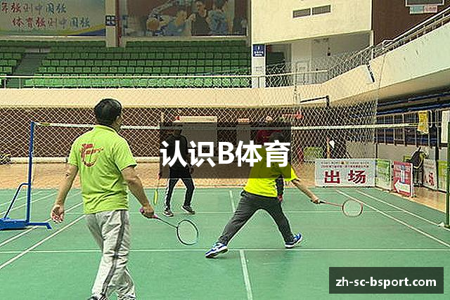 认识B体育